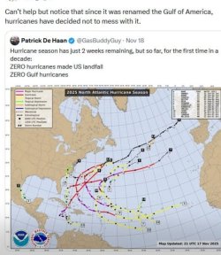 IMG_20251122_145659.jpg IMG_20251122_145659.jpg