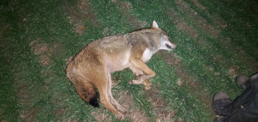 Behind Keiths 12-22-25.jpg