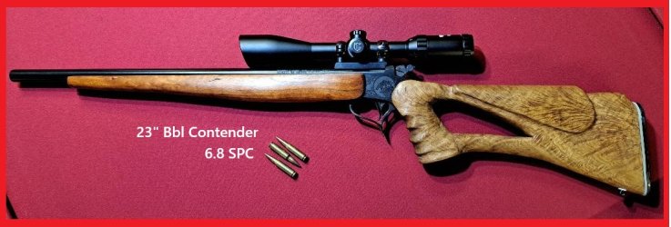 6.8 Rem with new furniture.jpg