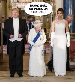 IMG_6529.jpeg IMG_6529.jpeg