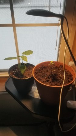 20260222_071340.jpg 20260222_071340.jpg