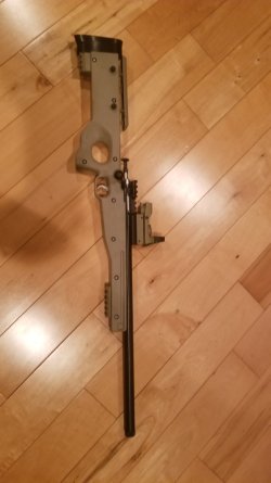 20260225_200603.jpg 20260225_200603.jpg