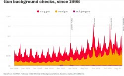 background check data.jpg