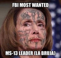 pelosi - ms13.jpg