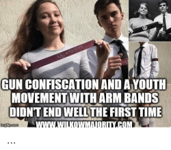 gun-confiscation-and-ayouth-movement-witharm-bands-didntendwell-the-first-31490878.png