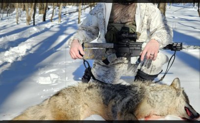 WhatsApp Image 2026-03-03 at 6.35.19 PM.jpeg