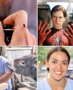 spiderman v AOC.jpeg