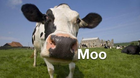 e95je0q0s5551.jpg e95je0q0s5551.jpg