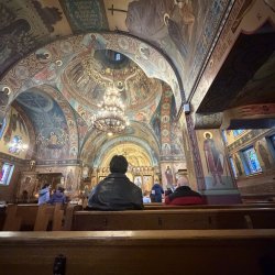 IMG_9323.jpeg IMG_9323.jpeg