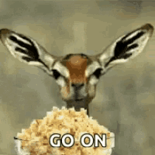 Popcorn - Go On.gif Popcorn - Go On.gif