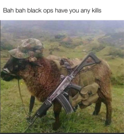 1777468743944.png