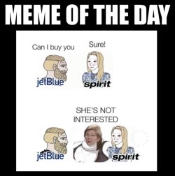 487923-fedb1b22dfd579c346f866a2790fdcc8.data.jpeg
