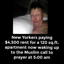 1778579577455.png