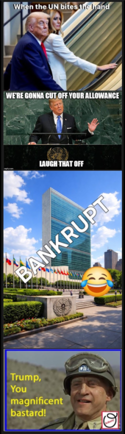 1778839047889.png