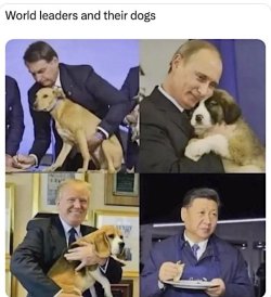 1778941793693.jpeg