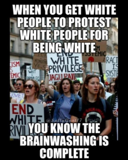 1779011538808.png