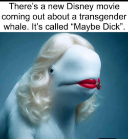 1779070213243.png