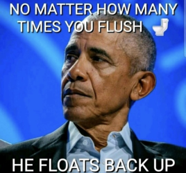 1779097779801.png
