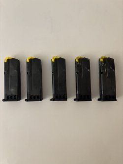 Sig Sauer P365-XL 9mm Mags (L:S).jpeg