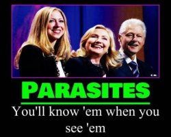 parasites.jpg