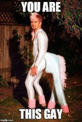 gay unicorn.jpg