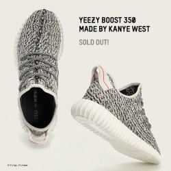 yeezy-shoe-top-and-rear-with-text-IIHIH.jpg