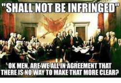 shall-not-be-infringed-aok-menareweallinagreementthat-thereisinoway-to-make-that-21975338.png