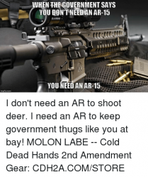 when-thegovernment-says-you-dont-need-n-ar-15-you-need-an-26963051.png