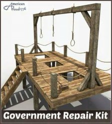 government repair kit.jpg