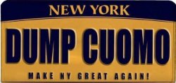 dump cuomo plate.JPG