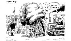 Legacy-Blues-Zapiro.jpg