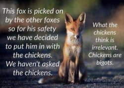 fox and chickens.jpeg