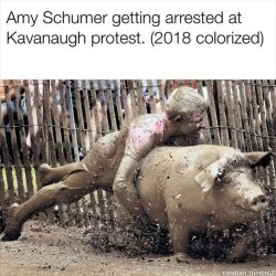 amy schumer arrested.jpg