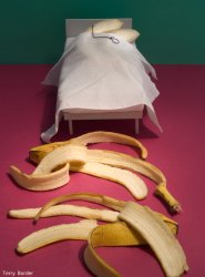 bananas-in-bed.jpg