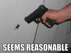 seems-reasonable-shoot-spider-with-pistol-mb.jpg