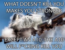 a10.jpg