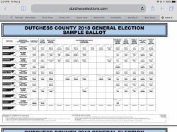 dutchess ballot tues