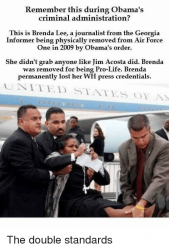 remember-this-during-obamas-criminal-administration-this-is-brenda-lee-37638497.png