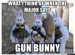 what-i-think-of-when-the-major-says-gun-bunny.jpg