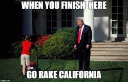 go-rake.jpg