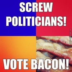 vote-bacon_o_3361547.jpg