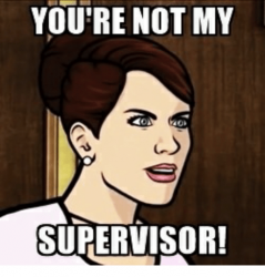 youre-not-my-supervisor-30294035.png