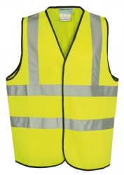 yellow vest.jpg
