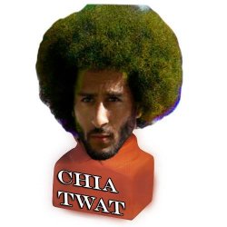 chia.jpg