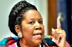 crazy-sheila-jackson-lee.jpg