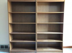 bookcase1.jpg