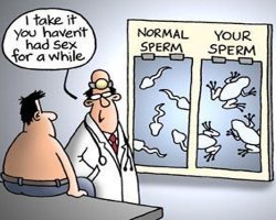 Sperm Funny Joke(1).jpg