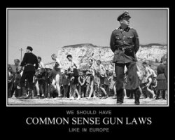 816784847-Poster-common-sense-gun-laws-in-europe.jpg