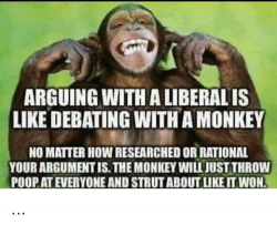 arguing-with-a-liberal-is-like-debating-with-a-monkey-34685073.png