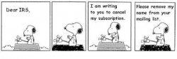 Snoopy TaxTime.jpg